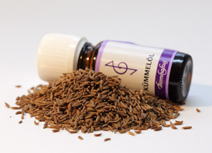 Kümmel und Kümmelöl